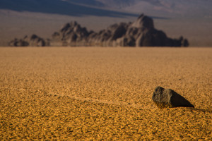 痛失冠军，但他们的拼搏精神值得掌声