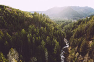伊朗总统坠机，世界杯赛场上空的阴影！